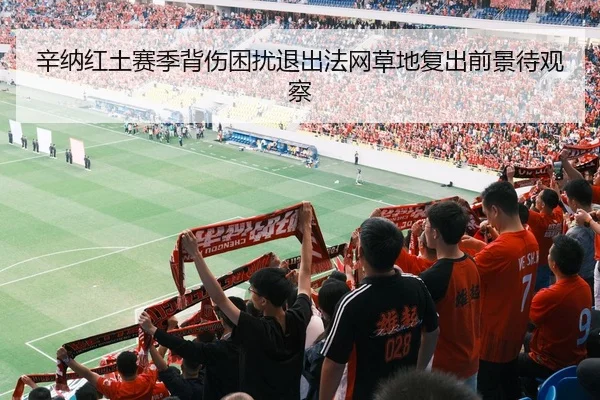 辛纳红土赛季背伤困扰退出法网草地复出前景待观察