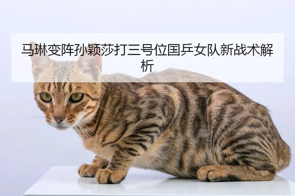 ma-lin-bian-zhen-sun-ying-sha-da-san-hao-wei-guo-ping-nv-dui-xin-zhan-shu-jie-xi-2-636.jpg