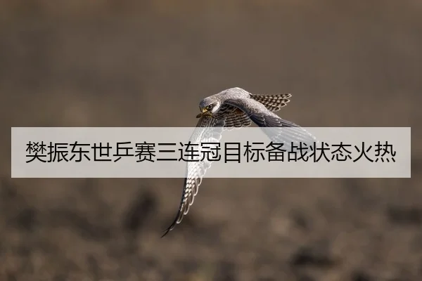 樊振东世乒赛三连冠目标备战状态火热
