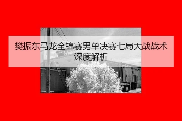 fan-zhen-dong-ma-long-quan-jin-sai-nan-dan-jue-sai-qi-ju-da-zhan-zhan-shu-shen-du-jie-xi-3-803.jpg